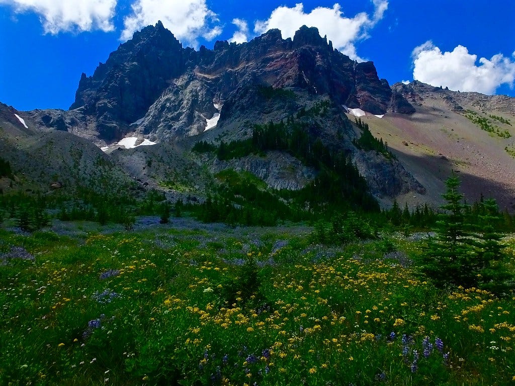 Three Fingered Jack, Canyon Creek Meadows Three Fingered Jack, Canyon Creek Meadows