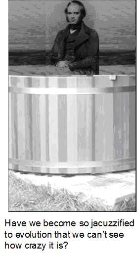 Darwin's jacuzzi