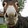 Meandering Aus's avatar