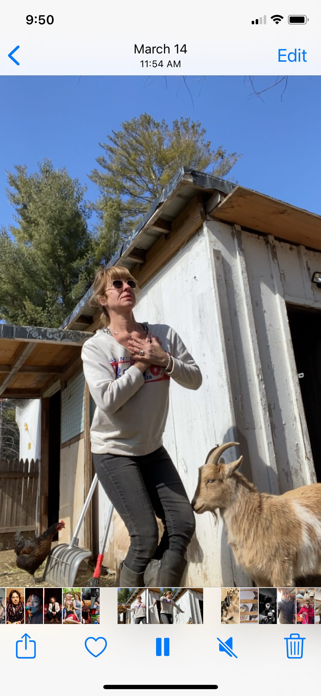 Jenny’s Newsletter