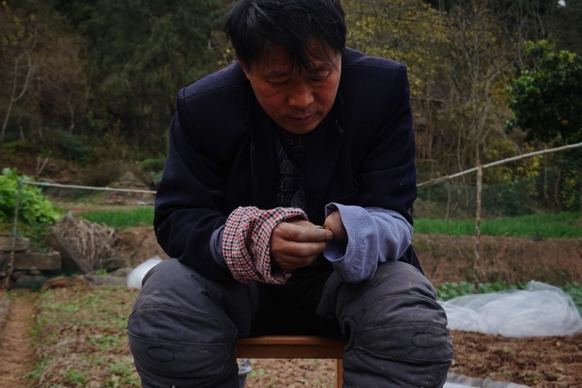 Vivianne Zhang Wei #4 Vivianne Zhang Wei #4