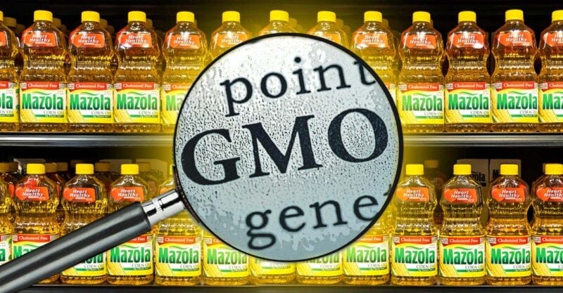 corn oil and letters "GMO"Court Strikes Down GMO Labeling Loophole for Ultraprocessed Foods.