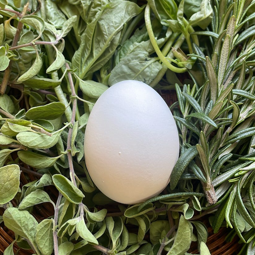 dreaming with marisól