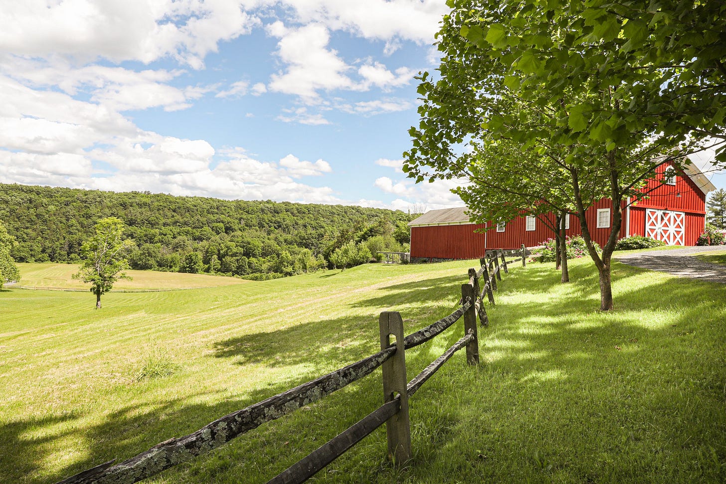 Matthew Strother Center for The Examined Life
