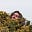 William Boon's avatar