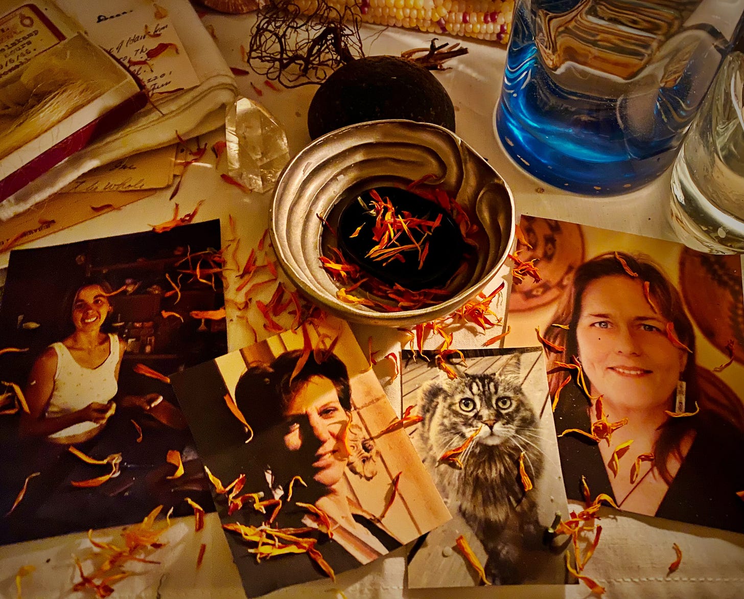 Some of my Beloved Dead on my Hallowmas altar, 2021: Charlotte, Waverly, Cleo, Nora. I scattered marigold petals over the photos. Photo by JPC.