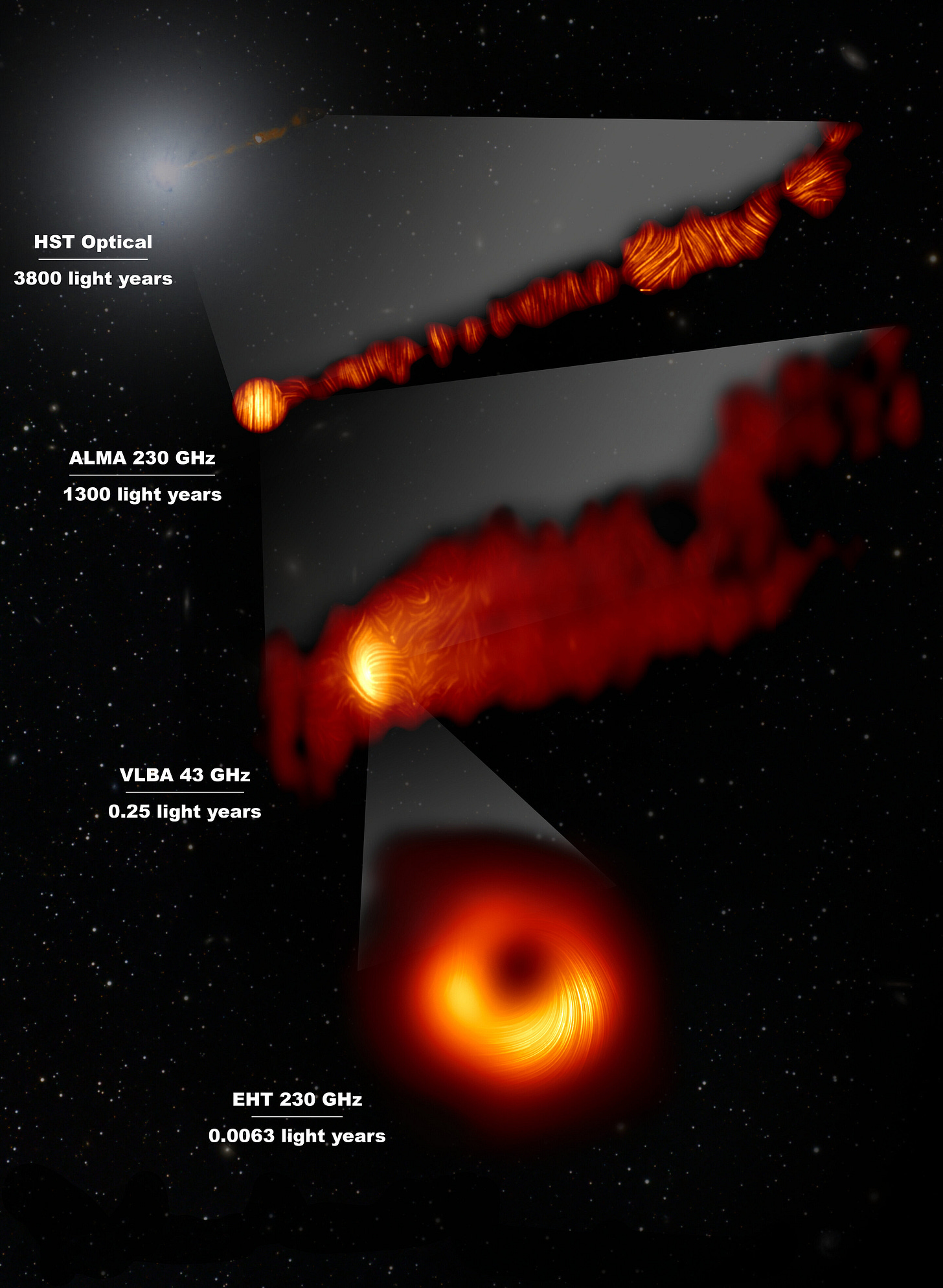 Astronomers image magnetic fields at the edge of M87's black hole