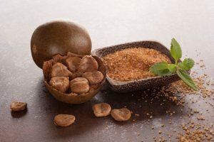 Monk Fruit | Gundry MD