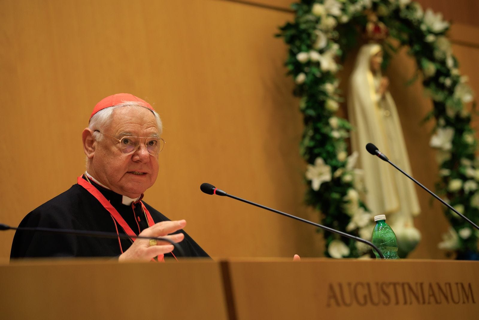 Cardinal Müller Says Mary’s “Co-Redemptrix” Title Should Be Explained, Not Suppressed
