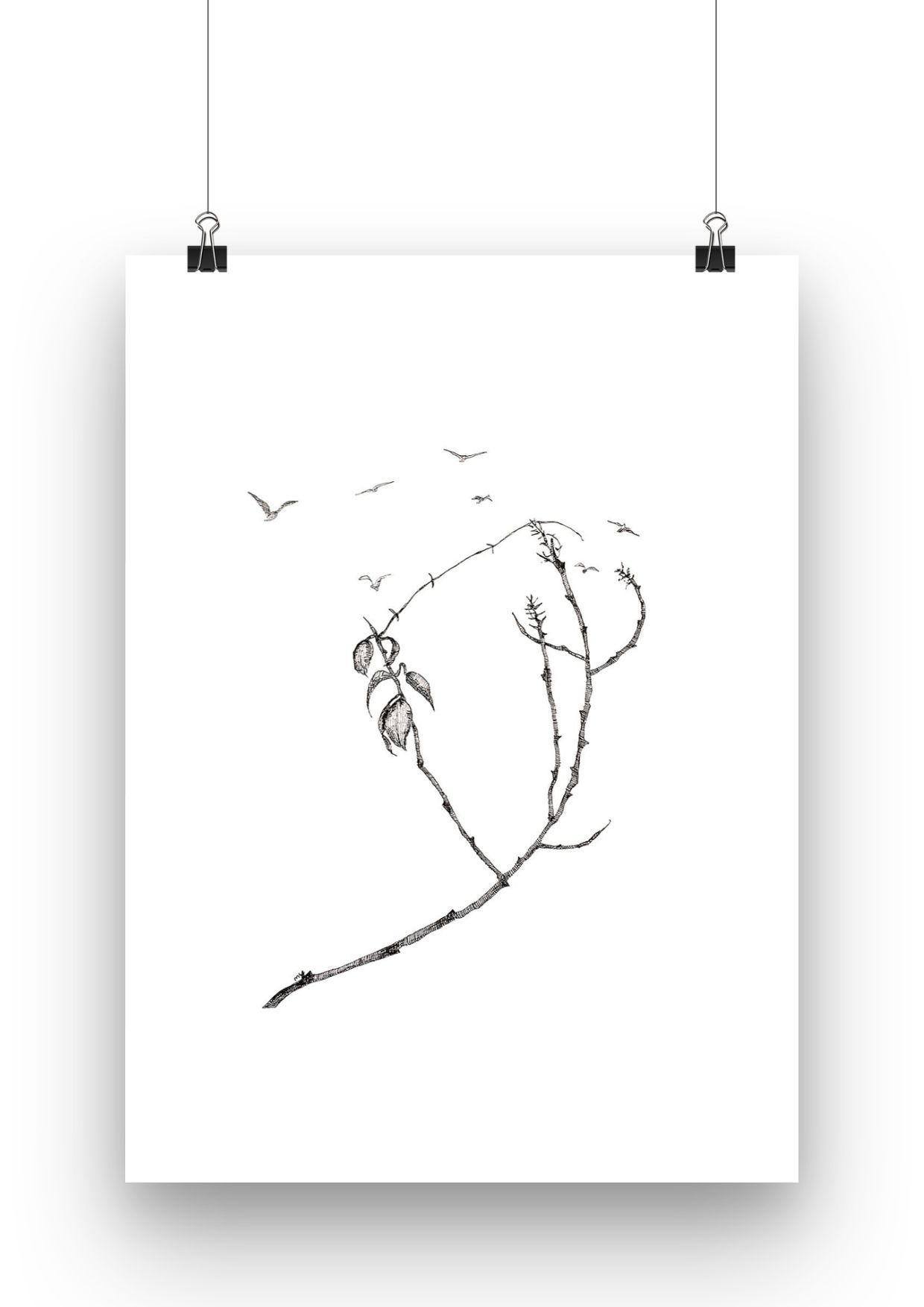 Tree branches and seven birds | Meditations in Nature| Line drawing of trees and birds fine art print Tree branches and seven birds | Meditations in Nature| Line drawing of trees and birds fine art print