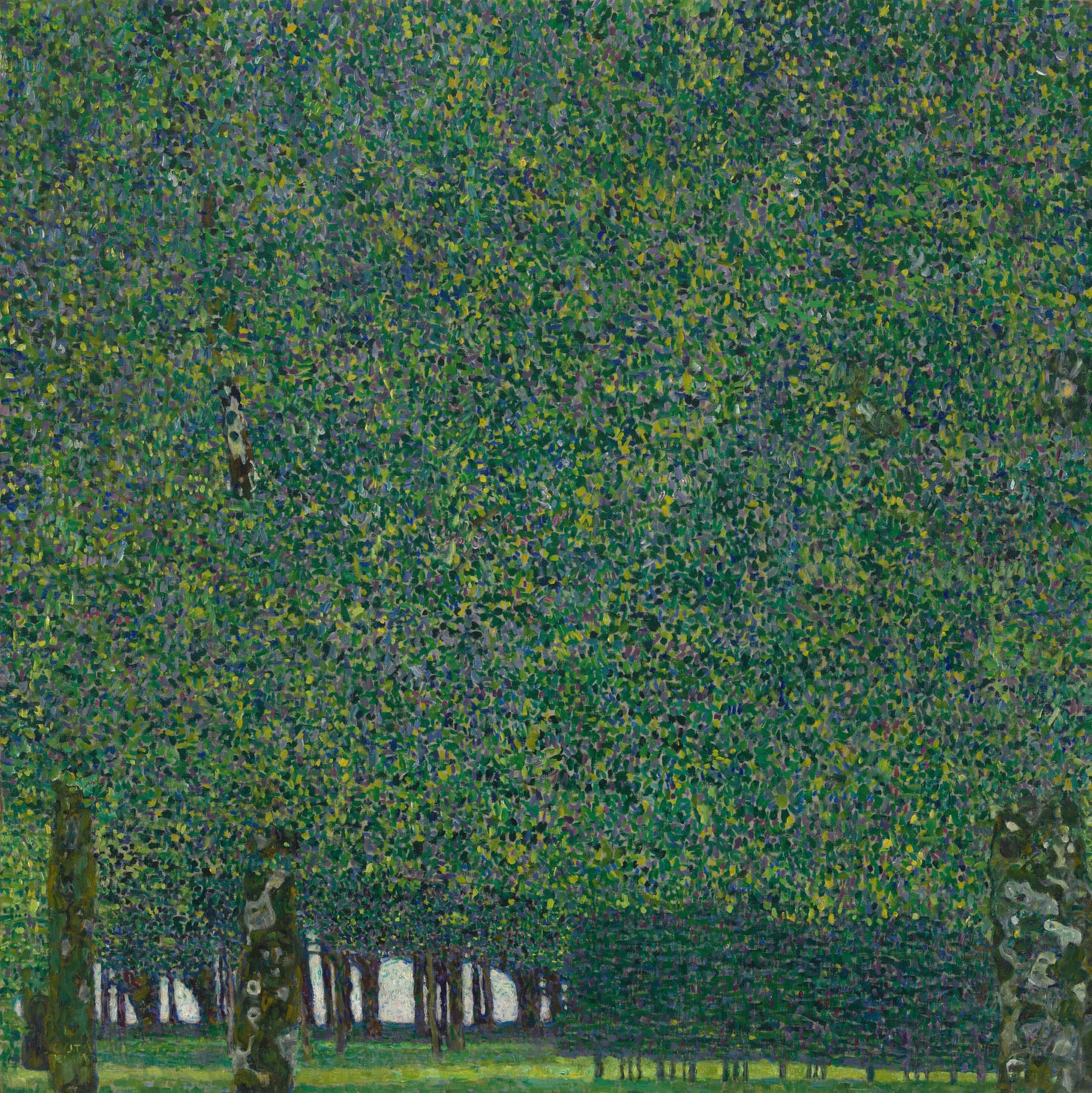 Klimt painting of dense green tree foliage filling the canvas Klimt painting of dense green tree foliage filling the canvas