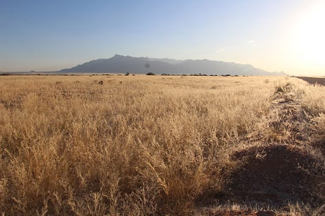 Wandering w/ Purpose Namibia