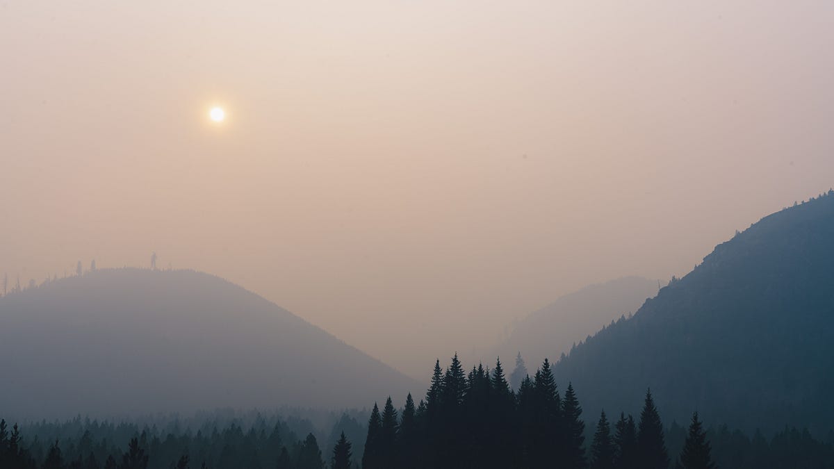 Alexander Brown: Little fires, everywhere