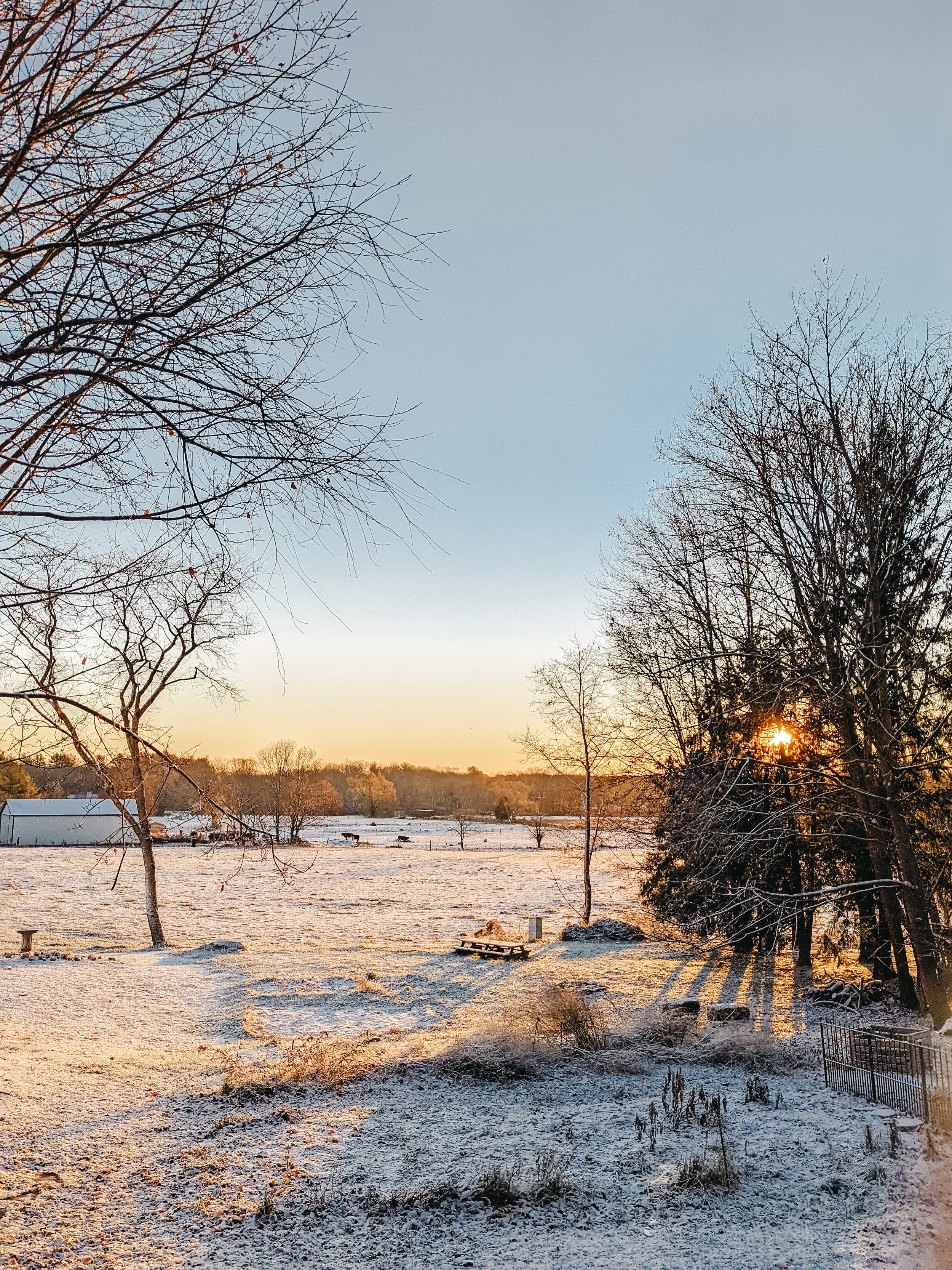 7 tips to surviving a long winter - The Cottage Peach
