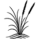 Innovation Ecology