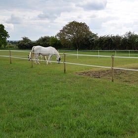 Success for equine feed manufacturer’s Slimmers’ Club
