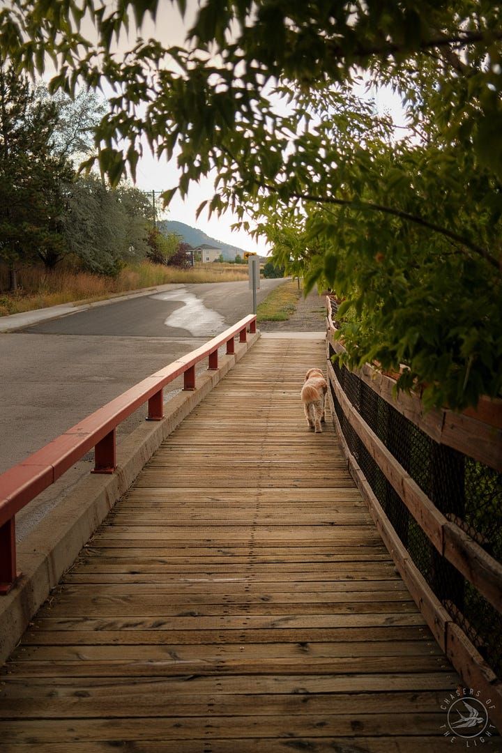 Fuji photographs of life in Montana by Tyler Knott Gregson