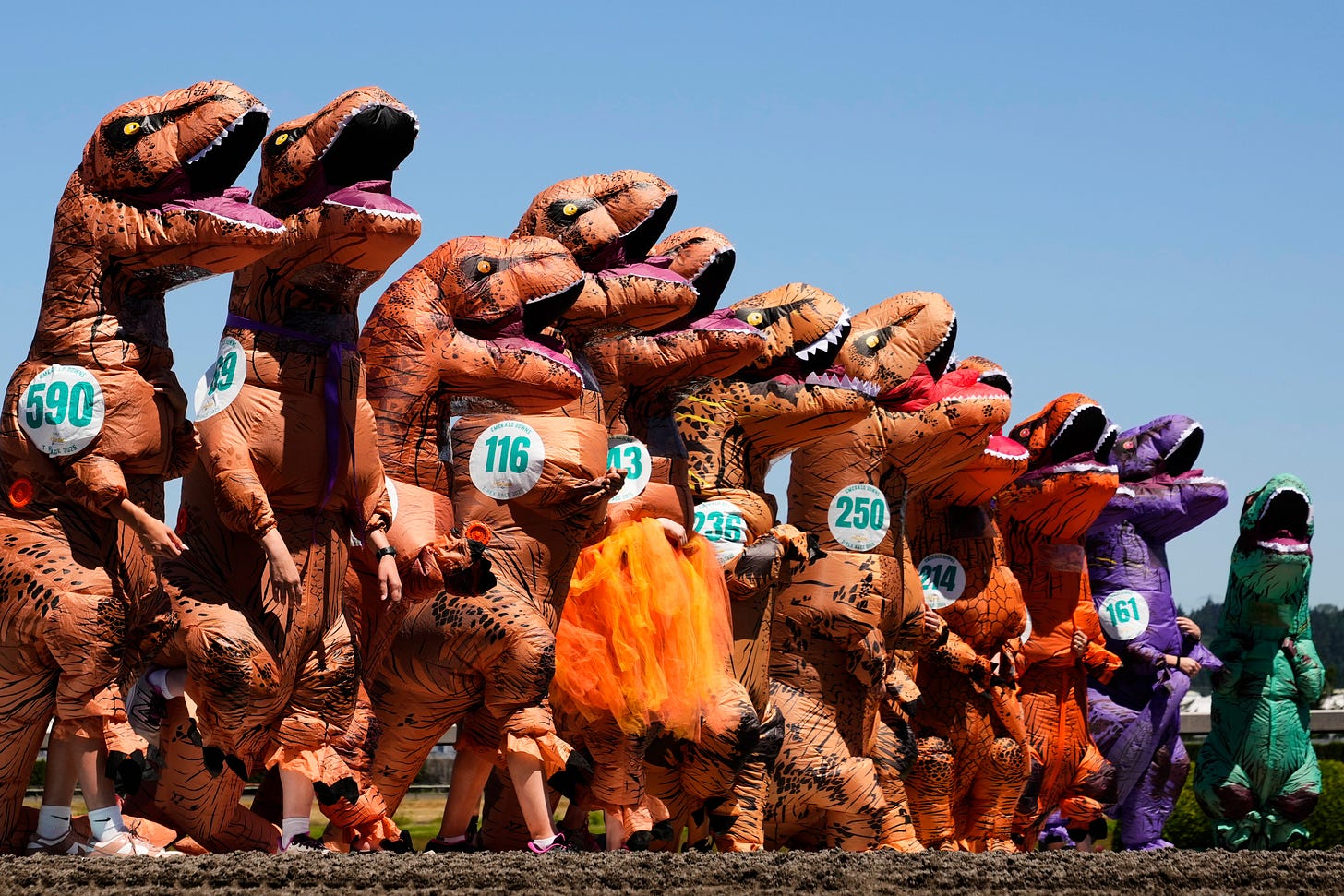 Jurassic Park meets Kentucky Derby: Inflatable dinosaurs compete for world title in Washington