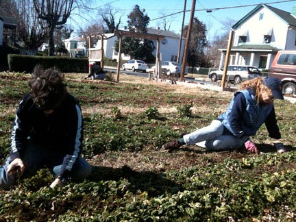 Diverse families--African American, Burmese. Latina, and white--in a Charlottesville, VA, community garden.