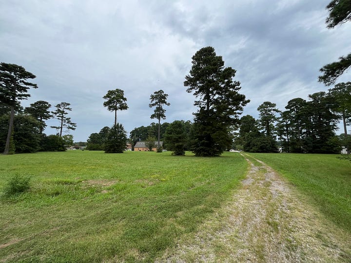 pictures of undeveloped field