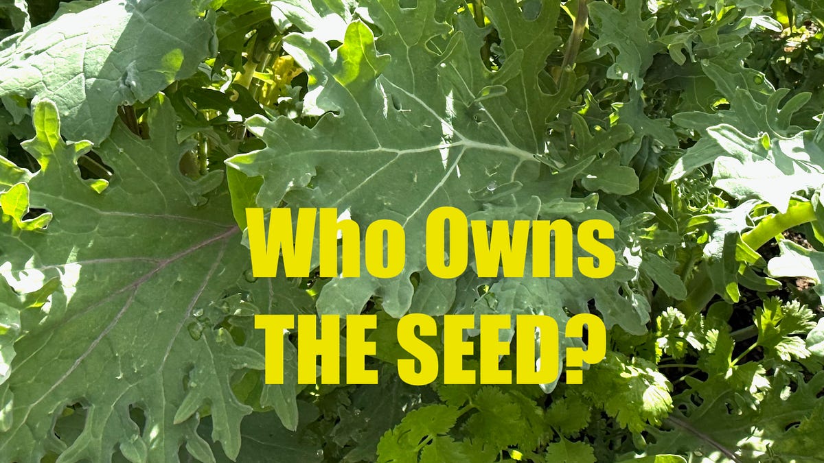 Who Owns the Seed?