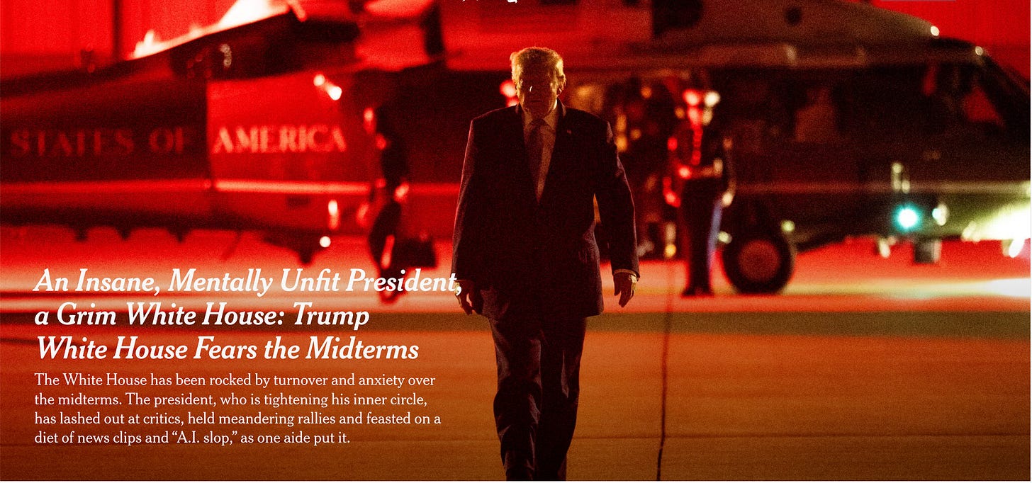 Fictional Screenshot from New York Times article on the regime’s concerns about the Midterms; this one says he's insane and unfit Fictional Screenshot from New York Times article on the regime’s concerns about the Midterms; this one says he's insane and unfit