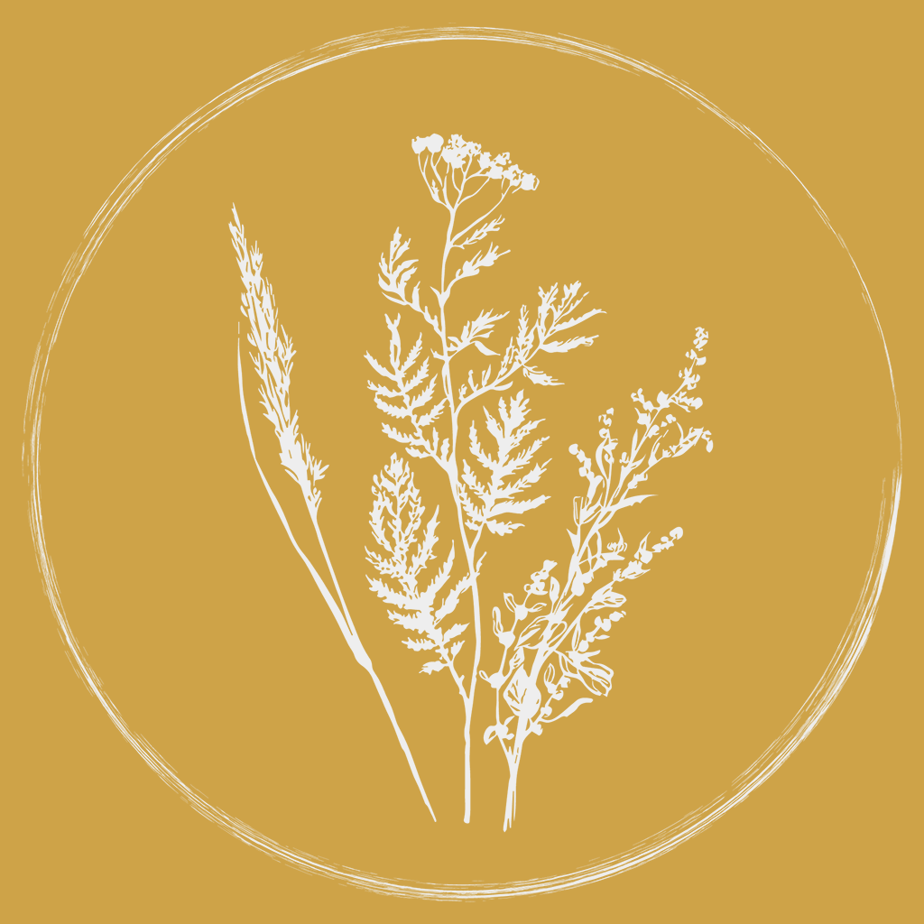 Artemisia Farm & Vineyard Newsletter