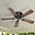 Ceiling Fan's avatar