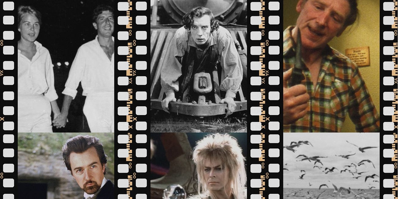 Whitley Bay Film Festival unveils packed September programme