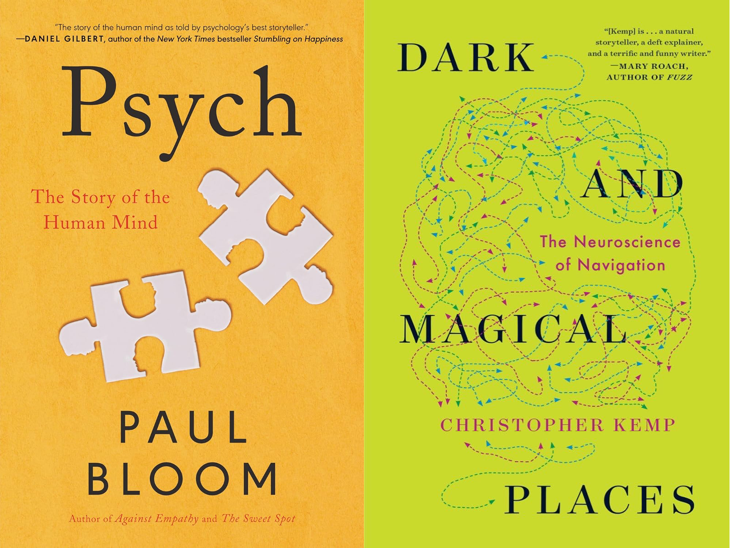 A yellow and green book cover with white puzzle pieces

AI-generated content may be incorrect.