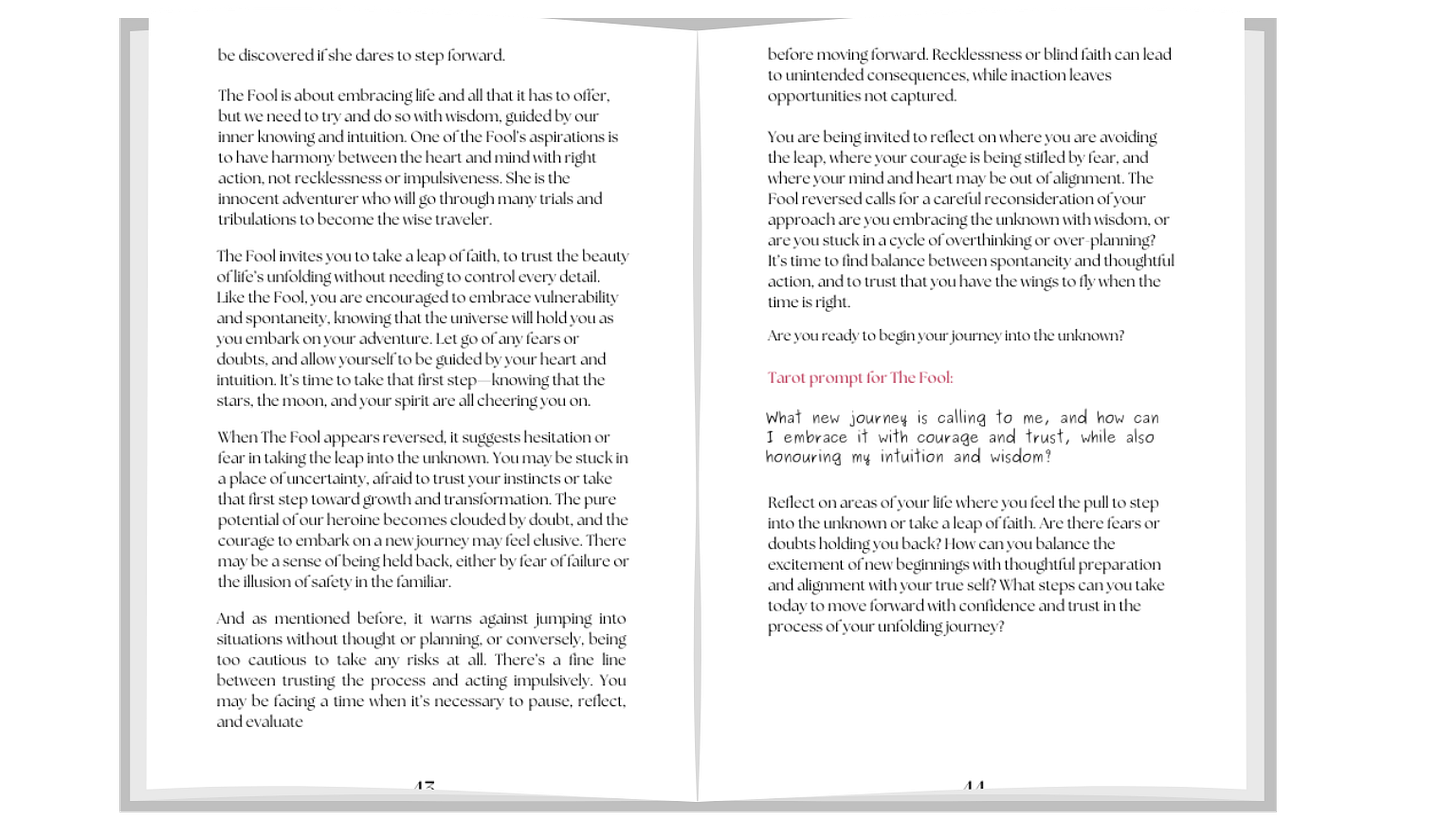 The Fool Guidebook Excerpt