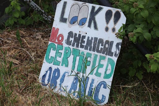 look sign look sign