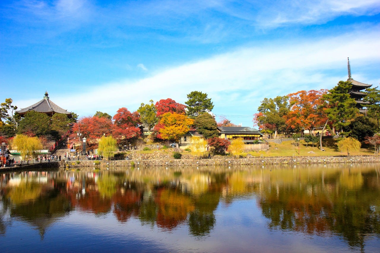 ※現在、興福寺 五重塔は保存修理工事中です。工事用の巣屋根（覆屋）に覆われており、外観をご覧いただくことはできません。
