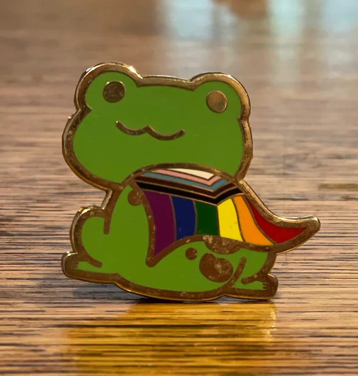 Nico’s frog Pride enamel pin. Photo by author.