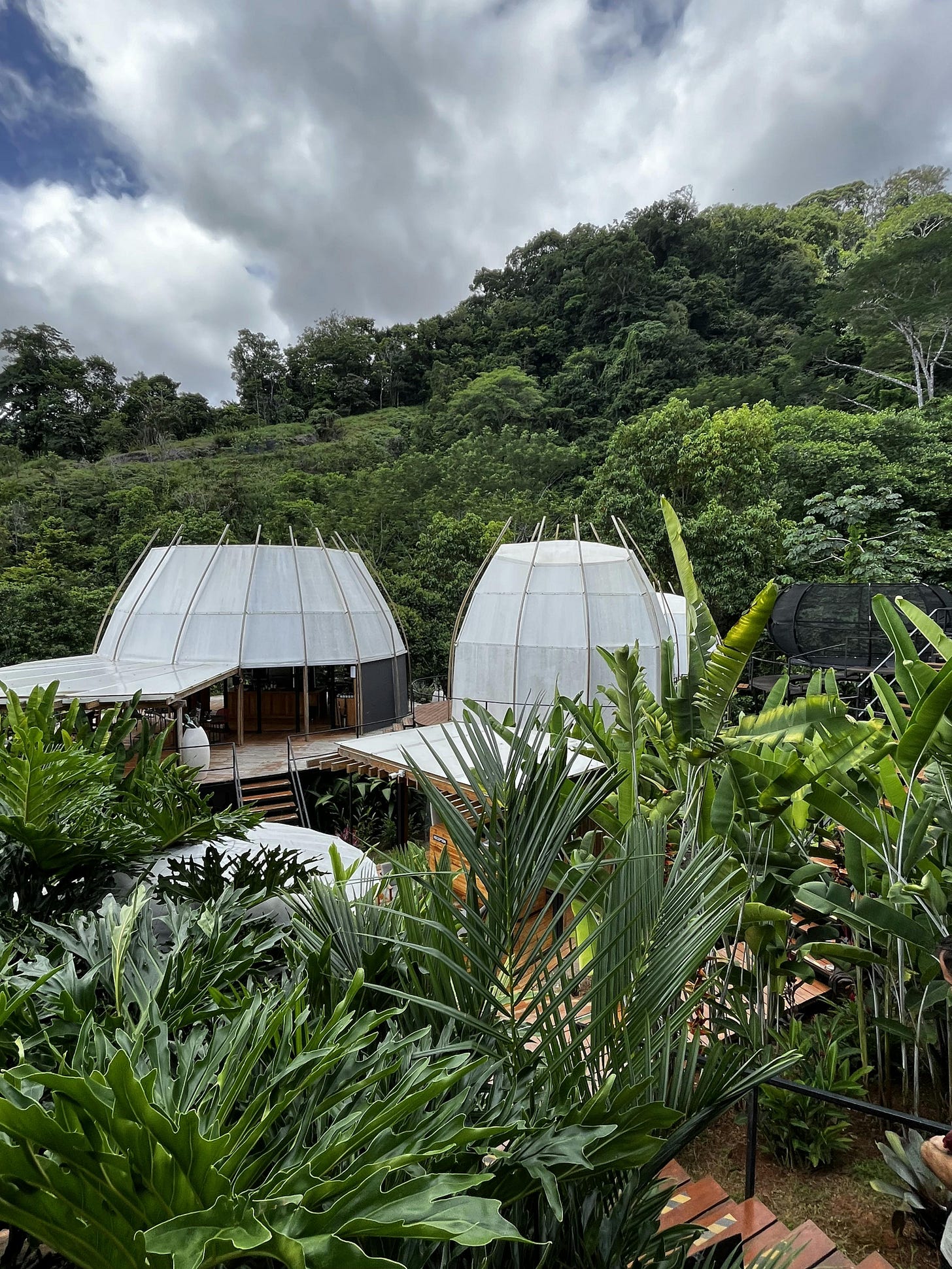 038: In Search of Freedom, or Free from Searching? 038: In Search of Freedom, or Free from Searching?