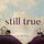 It's All Still True by Maggie Ginsberg