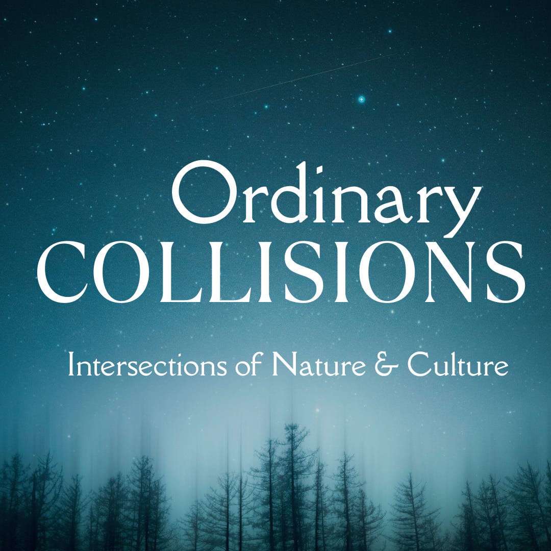Ordinary Collisions: Intersections of Nature & Culture