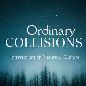 Ordinary Collisions: Intersections of Nature & Culture