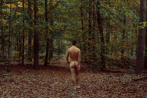 A naked young man, seen from behind, walking through a forest with pine trees, the ground covered with leaves.