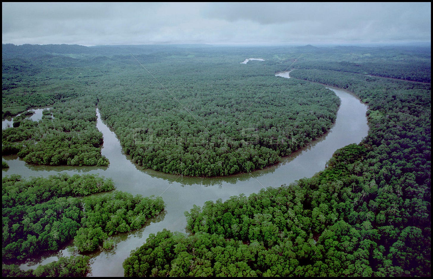 A river flowing through a forest

AI-generated content may be incorrect.