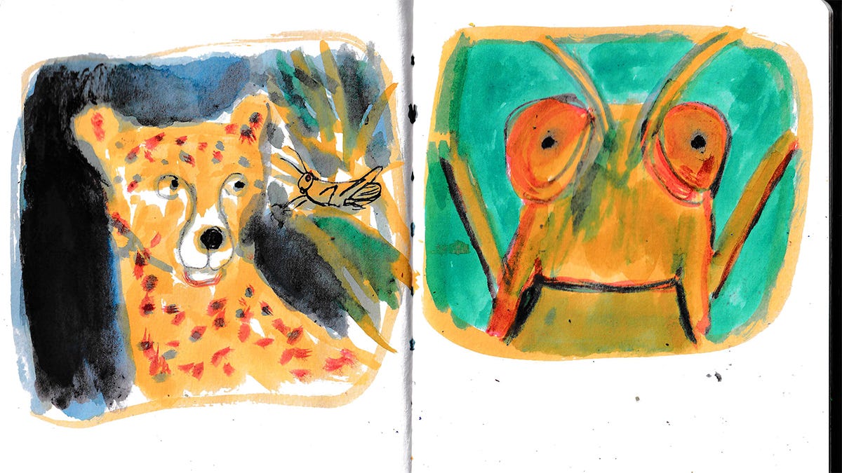 grasshopper and cheetah illustration