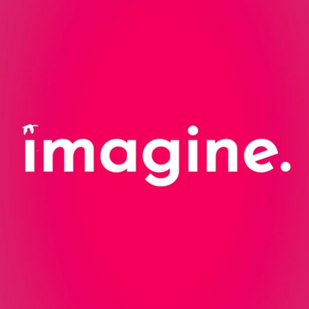 Imagine Foundation - Talent is universal Opportunity is not