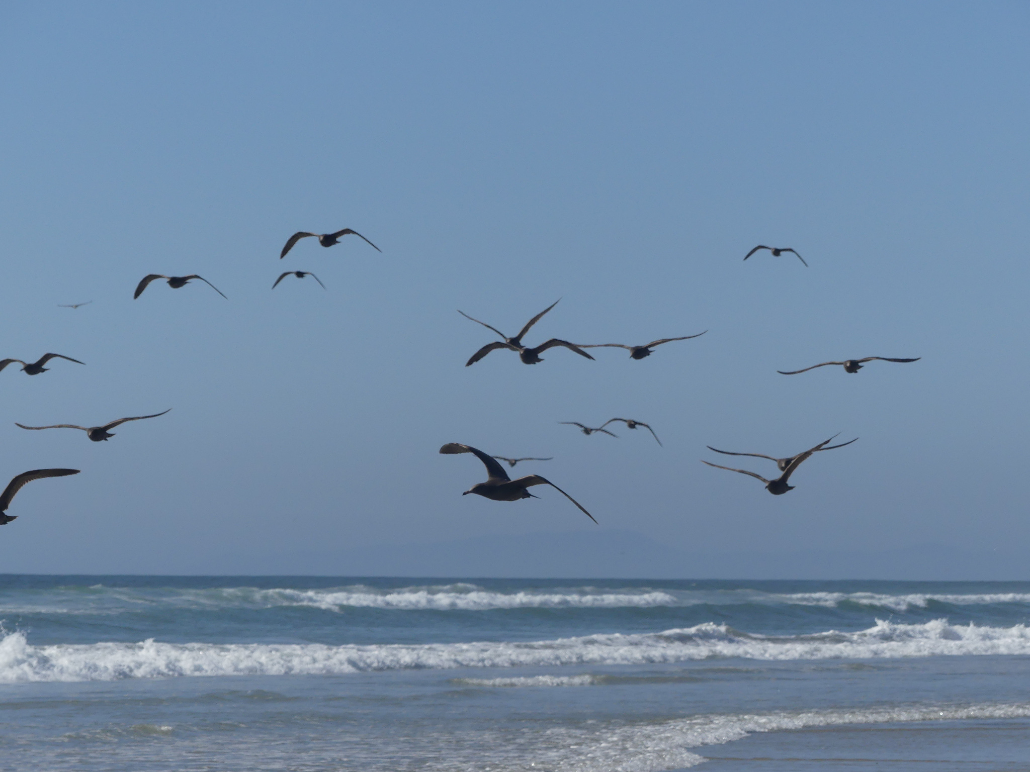 Cool It: Simple Steps to Save the Planet