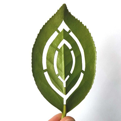 Leaves with various embroidery designs and cutout designs