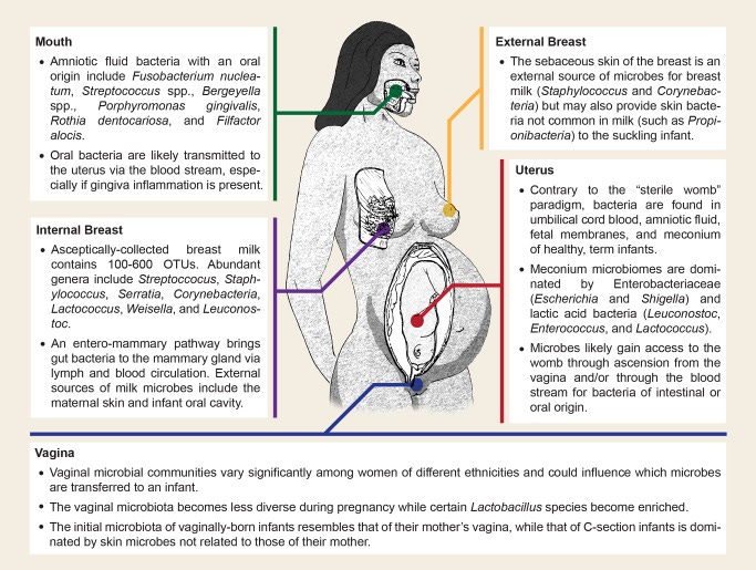 Click on image to zoom An external file that holds a picture, illustration, etc.
Object name is pbio.1001631.g001.jpg