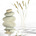 The Tranquil Path's avatar