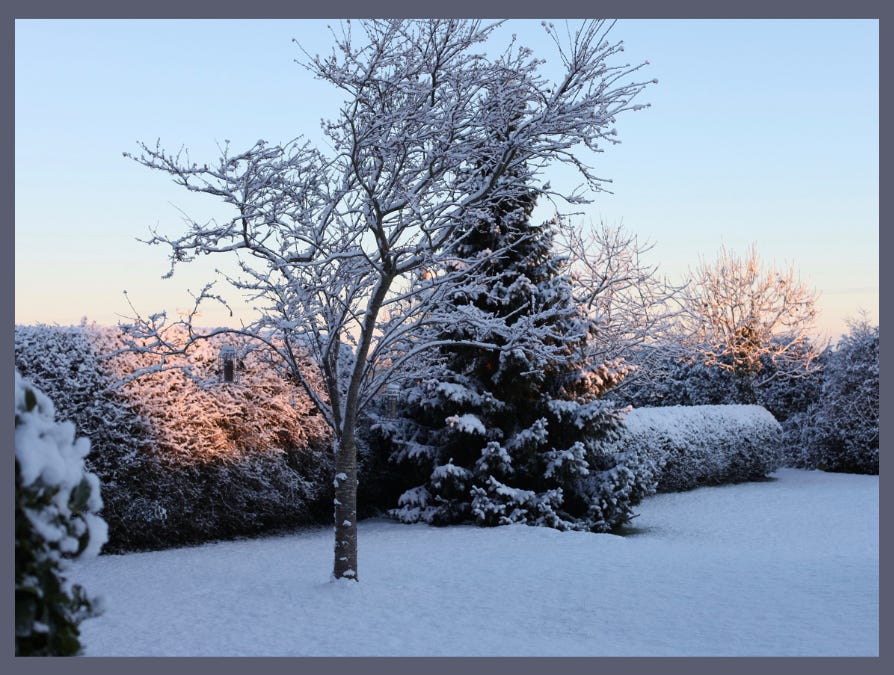 Embracing the Quiet of Deep Winter - Country and Hygge