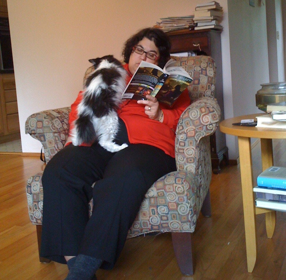 Spot stretches out, standing on the lap of a person in a patterned armchair, facing them and leaning on their shoulder. His attention is fixed on the hand scratching his neck. Spot stretches out, standing on the lap of a person in a patterned armchair, facing them and leaning on their shoulder. His attention is fixed on the hand scratching his neck.