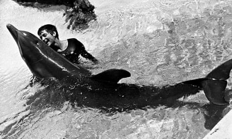 Margaret Lovatt at the Dolphin House on St Thomas Margaret Lovatt at the Dolphin House on St Thomas