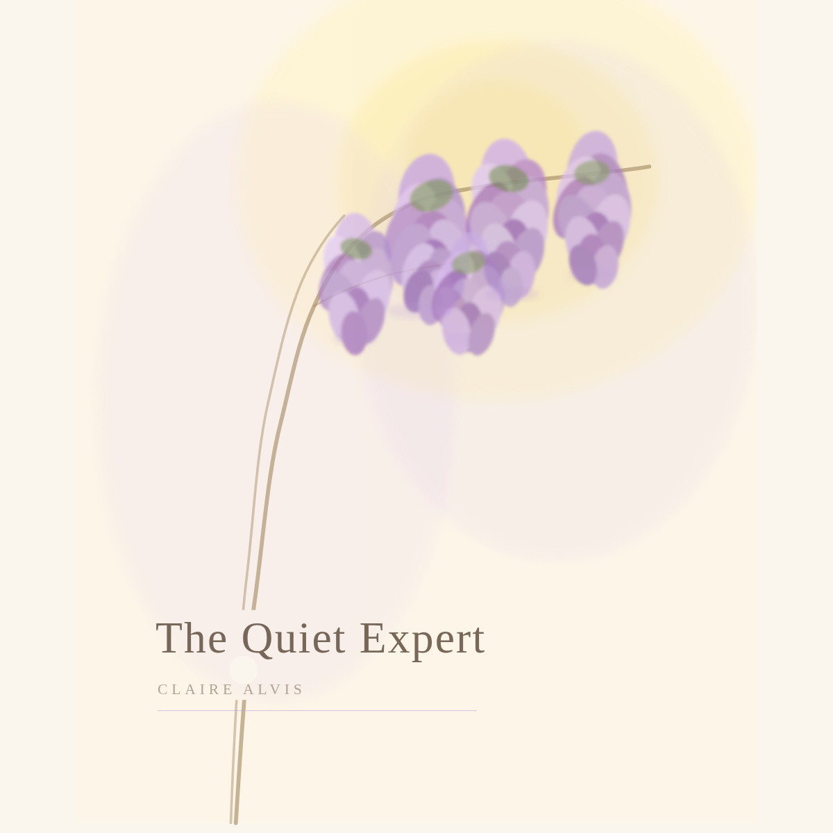 The Quiet Expert